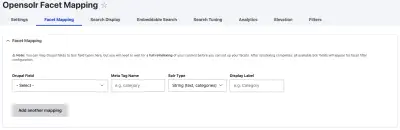 Facet Mapping form with dropdowns for Drupal Field, Meta Tag Name, Solr Type, and Display Label, plus Add another mapping button