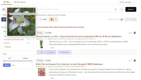 The same lily photo returns lily plants and bulbs on a DIY retailer index
