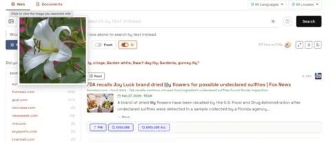 The same lily photo returns an FDA recall article on a news index